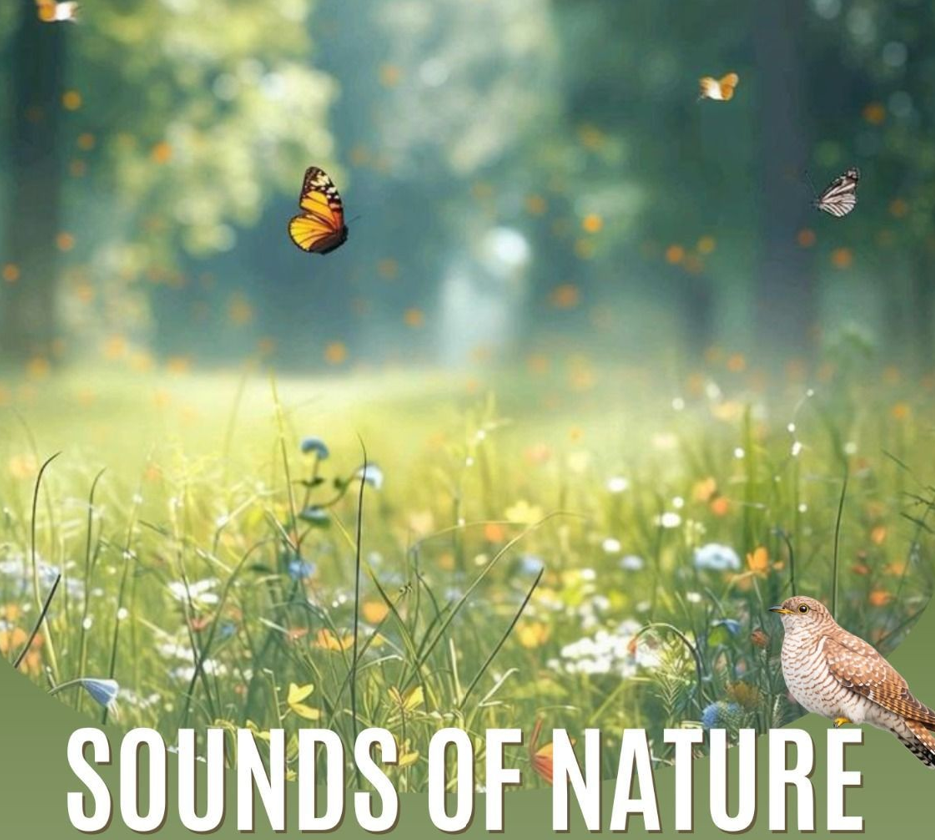 Sounds of nature